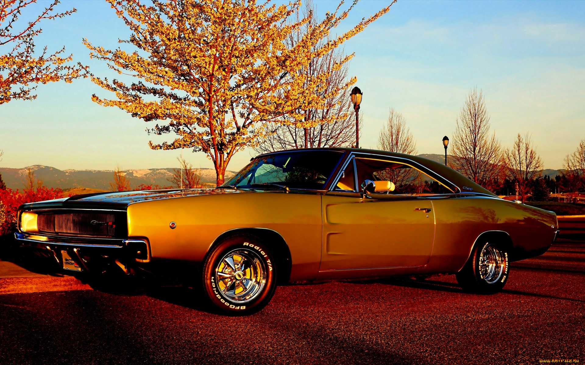 dodge charger, , dodge, , , 